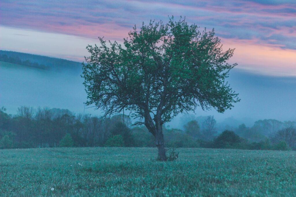 ¿Cuál es el significado del árbol de la vida en acero?, green leaf plant